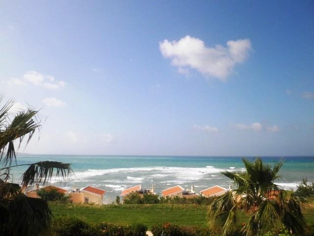 Happy Holiday Coral Bay Room photo